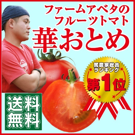 テストページ（本ページからはご注文頂くことは出来ません）