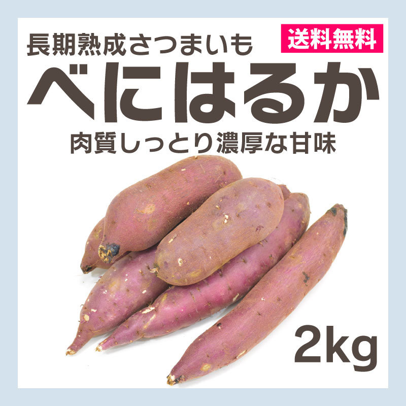 さつまいも - 長期熟成べにはるか 2kg Sサイズ[茨城] 送料無料