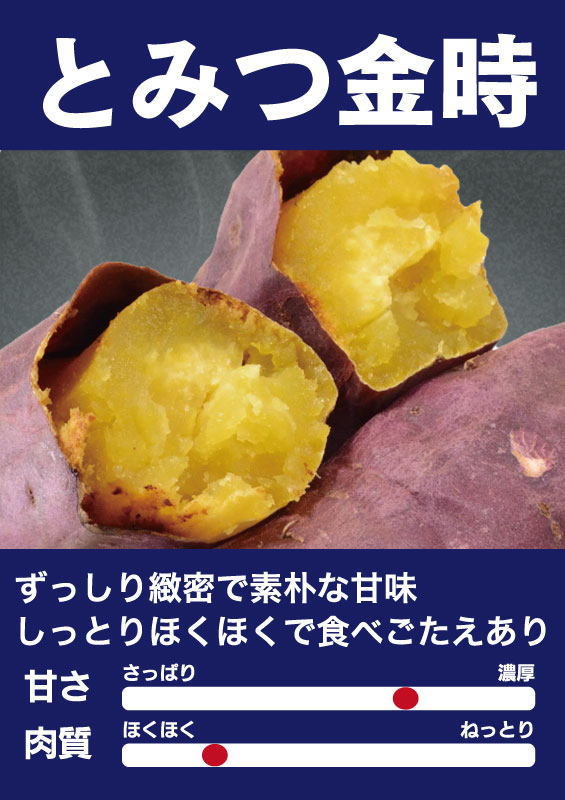 [画像をクリック・タップ!]