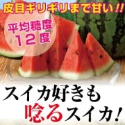 スイカ - 大玉スイカ　2L-3Lサイズ（7-8kg）[熊本]石原農園