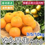 みかん - ゆら早生完熟みかん 3・5・10kg[和歌山]藏光農園 <直送>