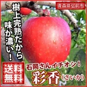 【2025年産 休止】彩香(さいか) 3・5・10kg 贈答用・家庭用[青森]石岡りんご園 / りんご 9月下旬～