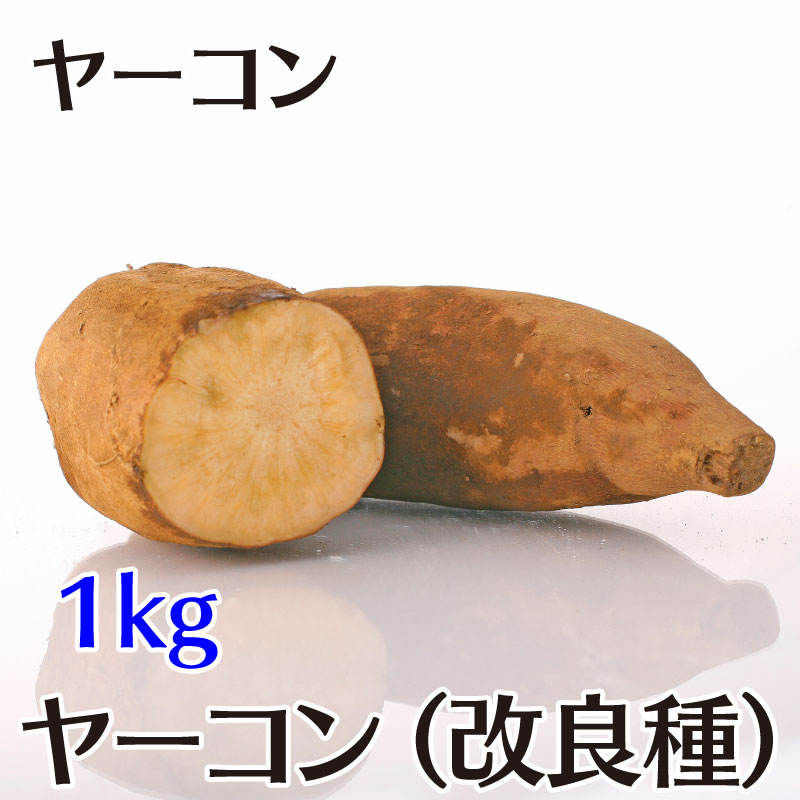 ヤーコン -  アンデスの乙女 または サラダオトメ 1kg[茨城]つくばヤーコンの会