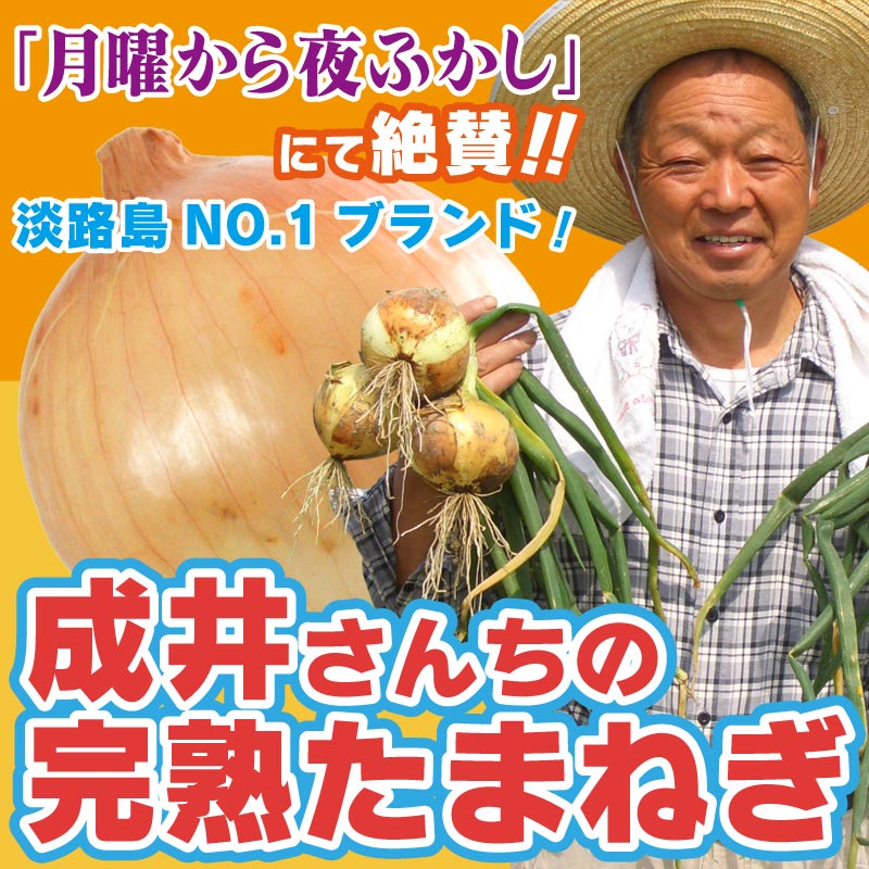 たまねぎ 成井さんちの完熟たまねぎ 1kg 兵庫県淡路島 野菜 土もの野菜 農家の台所 Web Shop