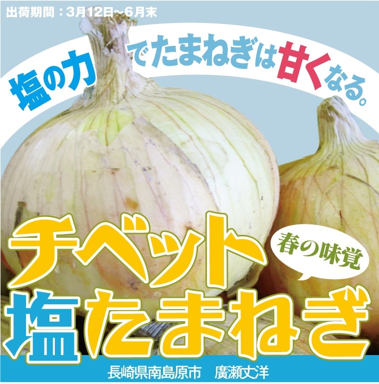たまねぎ - チベット塩たまねぎ kg単位[長崎]