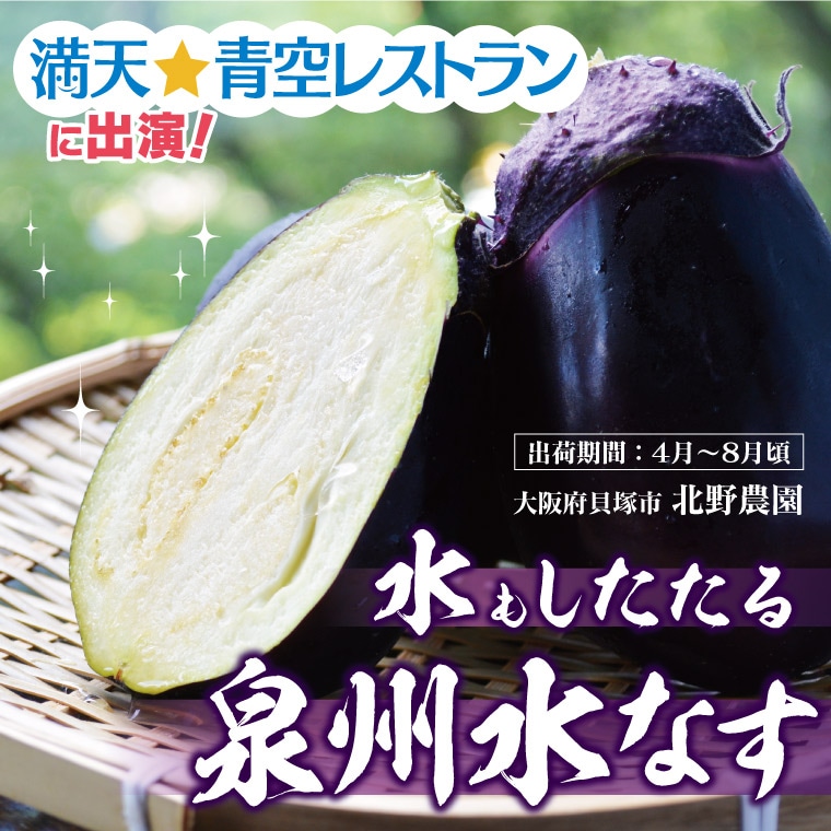 なす - 泉州水なす なにわ伝統野菜 1本 訳あり[大阪]北野農園 | 野菜