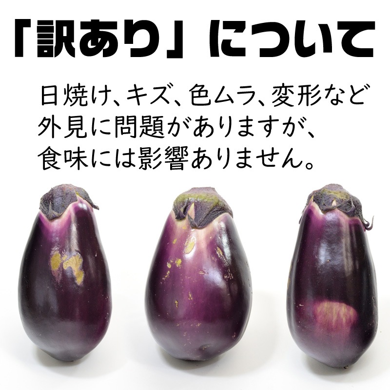 なす なす – agriroots