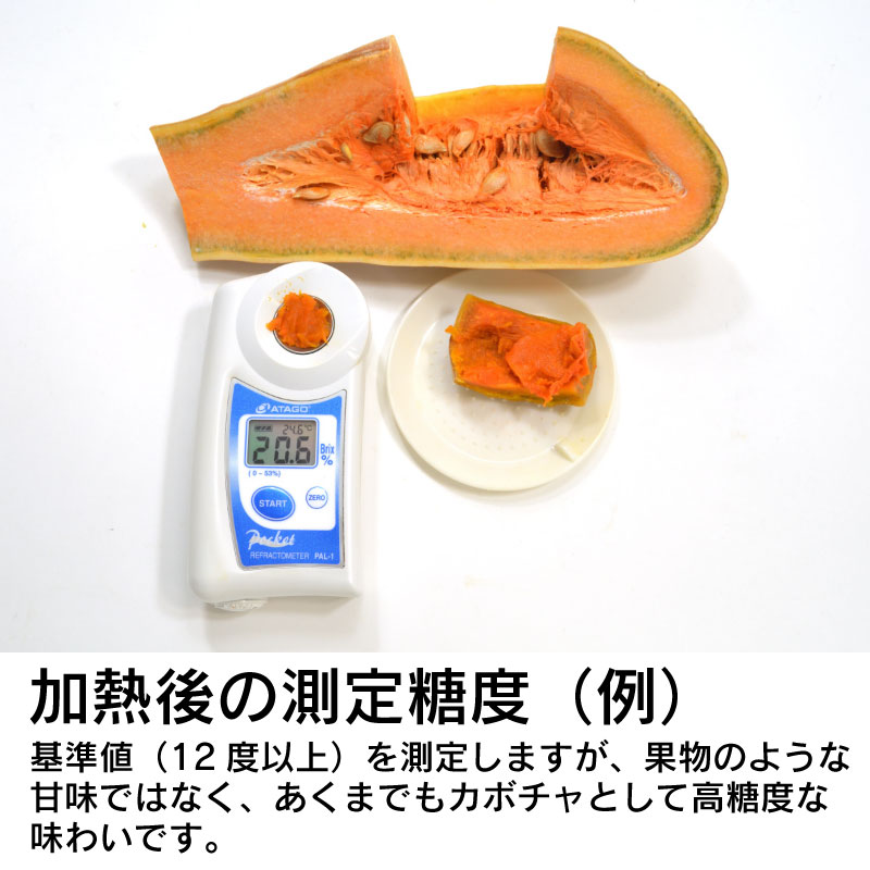 南部一郎 1本 [岩手] 荘園かぼちゃ研究会　/ かぼちゃ