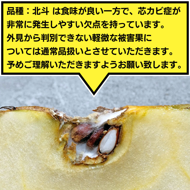 【2025年産 休止】サン北斗 3・5・10kg 贈答用・家庭用[青森]石岡りんご園 / りんご 10月下旬