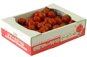 テストページ（本ページからはご注文頂くことは出来ません）