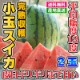 スイカ - 小玉スイカ 2Lサイズ（約3kg）×2玉[熊本]