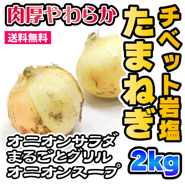 たまねぎ - チベット岩塩玉ねぎ 約2kg[長崎] 送料無料