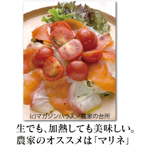 テストページ（本ページからはご注文頂くことは出来ません）