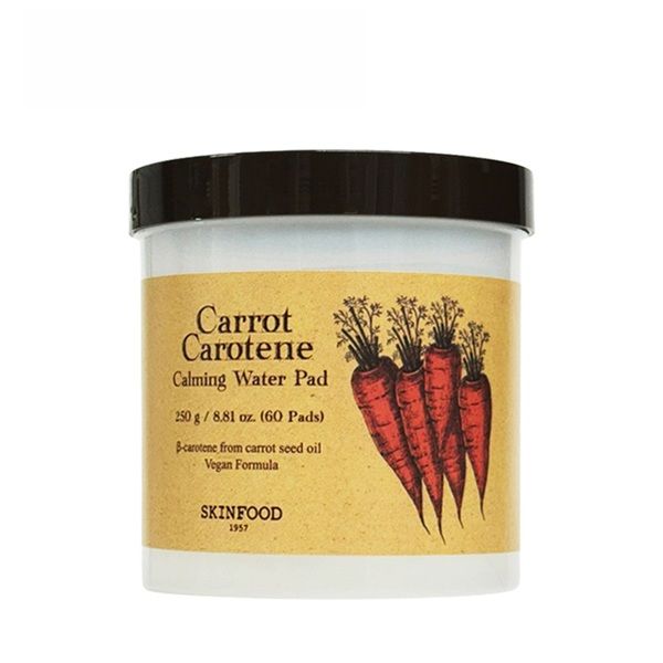 SKINFOODۥåȥƥ ߥ󥰥ѥåɡ60/250g