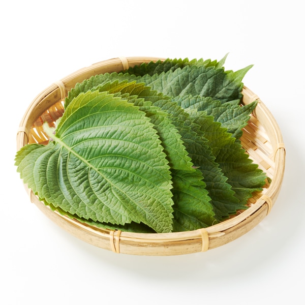 えごまの葉（約20枚） | キムチ/野菜 ,野菜類 | 韓国食品通販 KFOODS