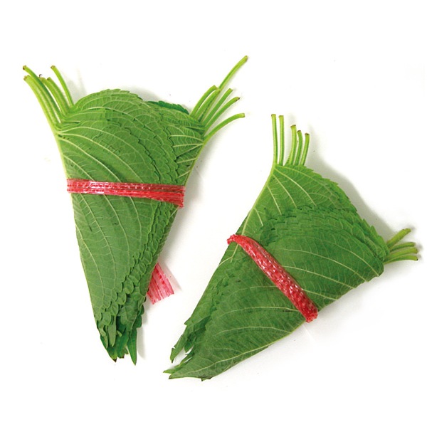 �����ޤ��ա���20���