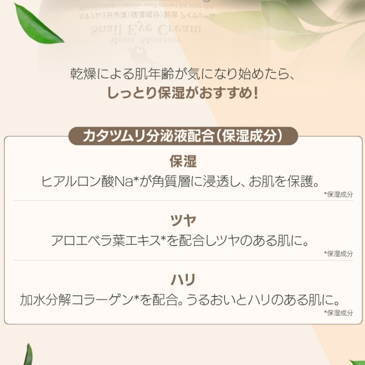 ��skin holic�ۥ⥤���ȥ⥤�����㡼���ͥ��륢�����꡼���40g��