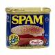 Hormelۥѥ 饷å ̵ (SPAM/340g)-ܸ