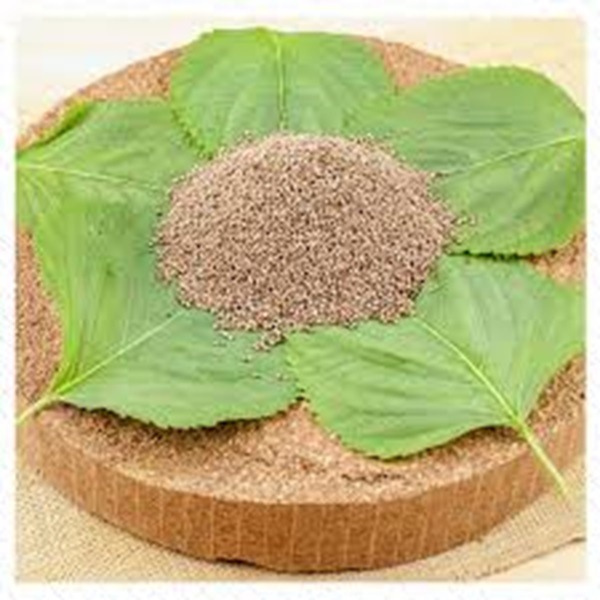 �ڥ�����ա��ɡ���भ���ꤨ����ʴ��500g��-��̣���֡�2026ǯ09��21��