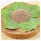 �ڥ�����ա��ɡ���भ���ꤨ����ʴ��500g��-��̣���֡�2026ǯ09��21��