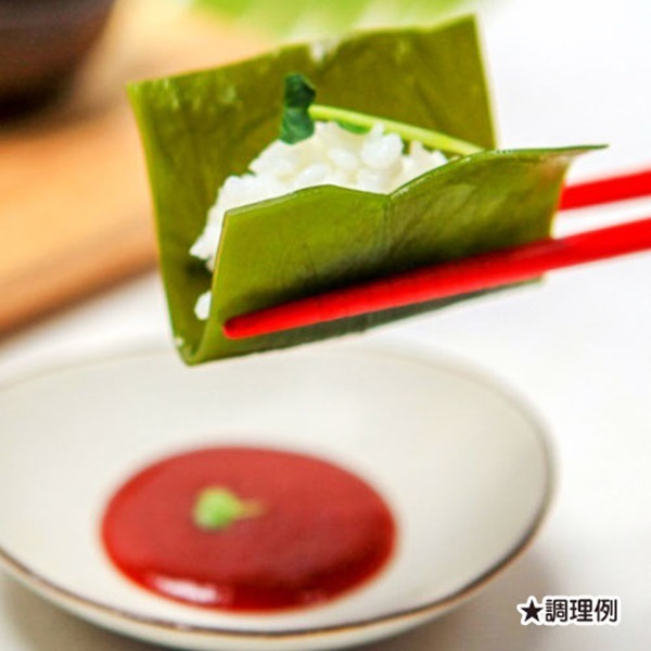 �ڴڹ񻺡۱�¢����(300��)