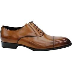 4E ֥ǥӥͥ塼 CC-110 ȥ졼ȥå Ⱪ  