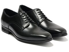 KENFORD KN71 ץ졼ȥ