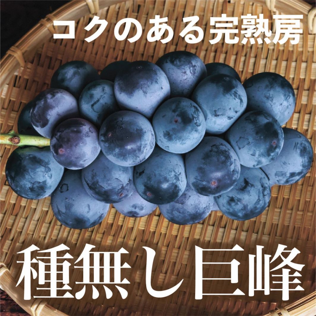 種無し巨峰　7月上旬～7月下旬