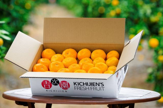 ５１０　　金峰みかん 楽天市場】金峰みかん（食品）の通販