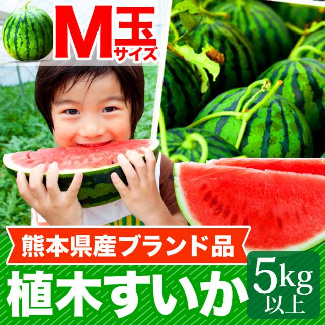 【4/20以降発送】熊本　植木すいかM（5kg以上）