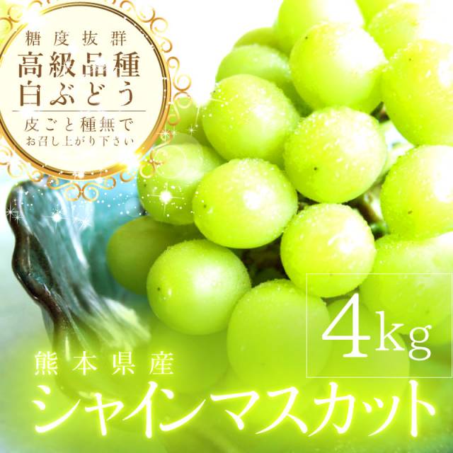 種無しで皮ごと食べられる・ シャインマスカット 4kg