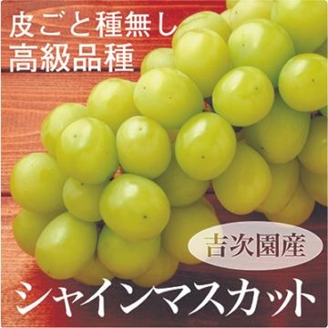 種無しで皮ごと食べられる・ シャインマスカット 7月下旬～発送