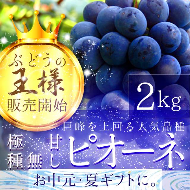 もぎたて極甘種無しピオーネ＜7月下旬～８月上旬＞