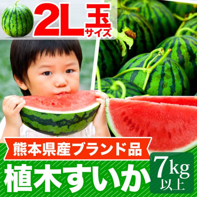 【4/20以降発送】熊本　植木すいか2L（7kg以上）