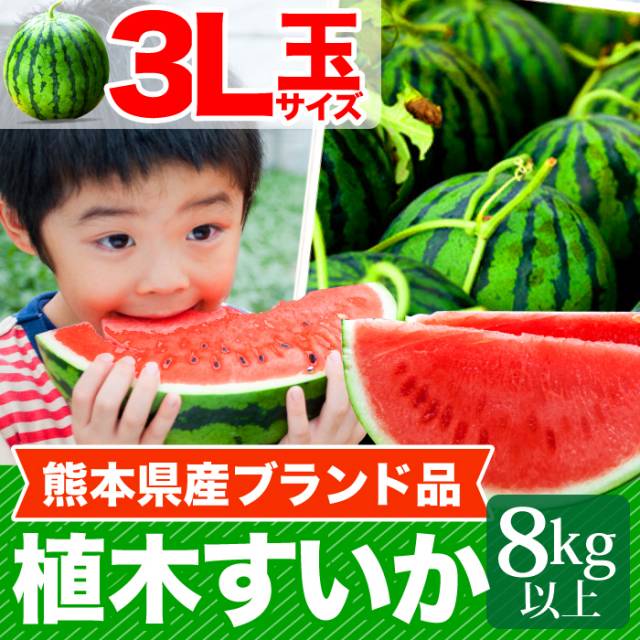 熊本　植木すいか3L（8kg以上）
