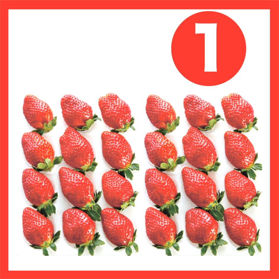 完熟いちご化粧箱入り(24粒~33粒)