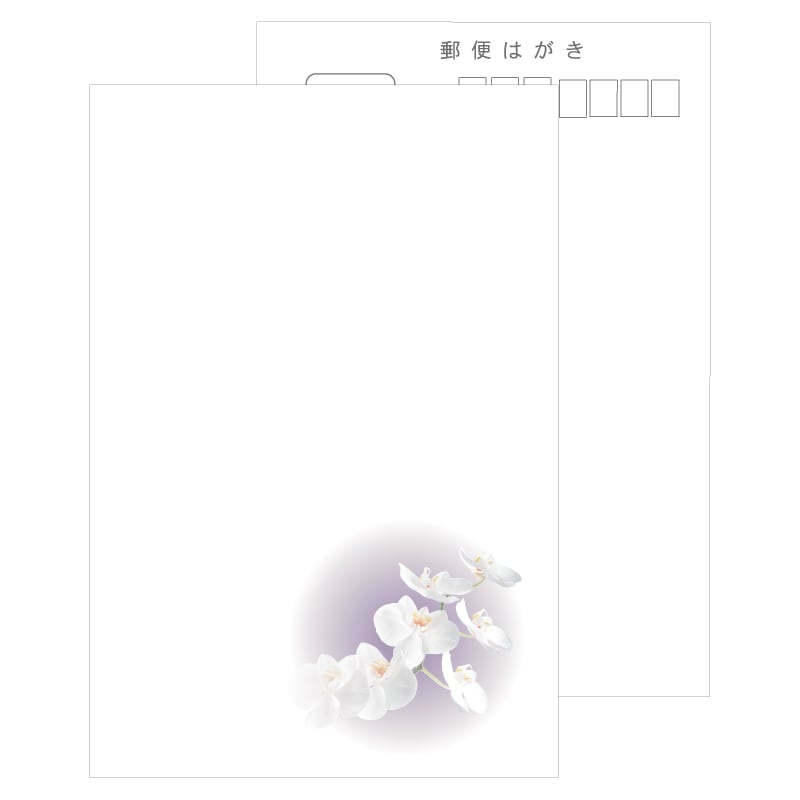 はがき用紙 絵柄 胡蝶蘭 コチョウラン 50枚 喪中 寒中見舞い 法要 弔事 忌明け 満中陰 挨拶状 ハガキ