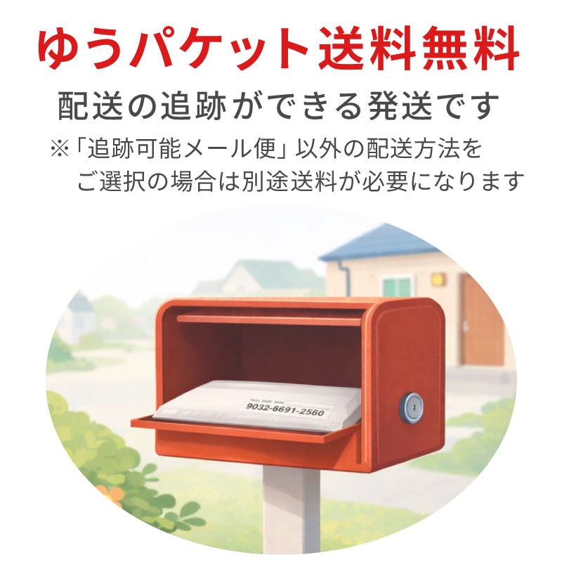 富士山 20枚 喪中はがき 用紙 私製はがき 日本の象徴 絵柄 少量 寒中見舞い 弔事 法要 挨拶状 ハガキ
