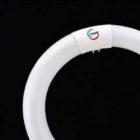 東芝ライテック FCL40EX-D/38-Z　メロウZＮ　環形「サークライン」|円形蛍光ランプ（FCL)|蛍光ランプ