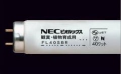 NEC�饤�ƥ��󥰡�FL30SBR���ӥ���å���