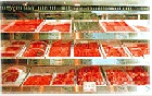 NECライティング　FL10VI　ショーケース用蛍光ランプ　色温度5000K(精肉用）|食肉展示用蛍光ランプ|特殊蛍光ランプ