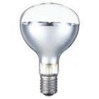 岩崎電気　屋外投光用アイランプ　RS110V270WH|レフランプ|白熱電球