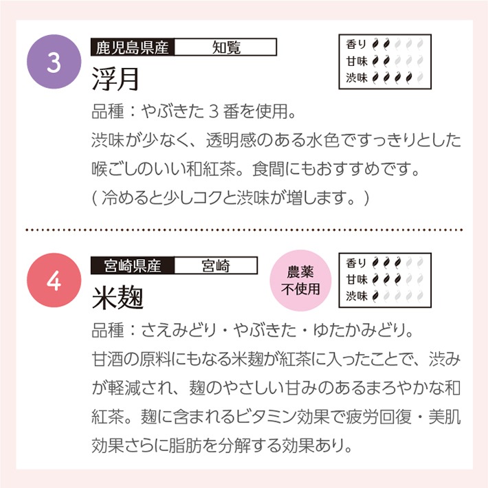 送料無料!1000円ポッキリ　和紅茶飲み比べ10選 ティーバッグ
