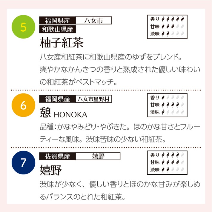 送料無料!1000円ポッキリ　和紅茶飲み比べ10選 ティーバッグ