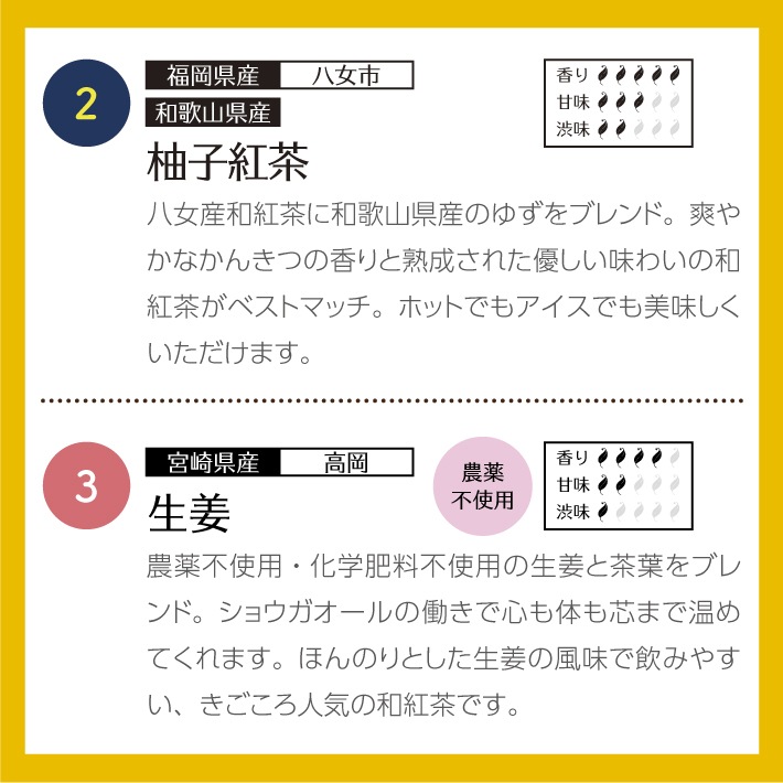 【ホワイトデー】和紅茶ティータイムギフト ティーバッグ 10種類