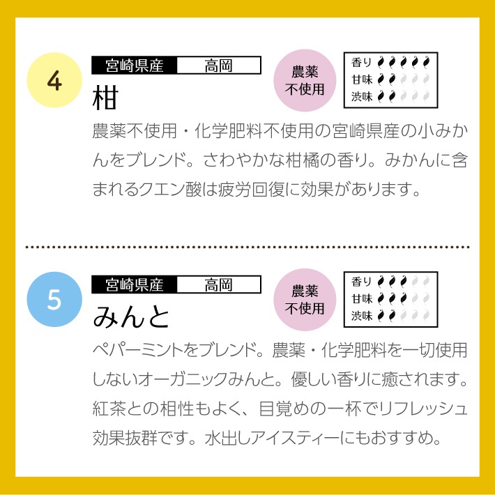 【ホワイトデー】和紅茶ティータイムギフト ティーバッグ 10種類