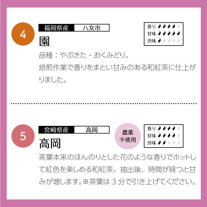 【ホワイトデー】和紅茶ティータイムギフト ティーバッグ 10種類