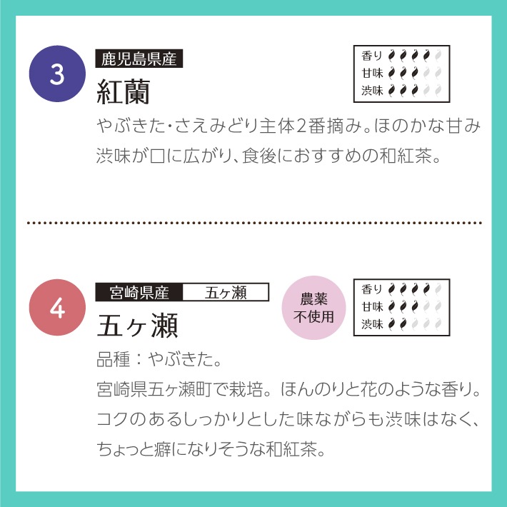 【ホワイトデー】プチギフト 和紅茶セレクトパック ティーバッグ4種入　2個セット　送料無料 メール便