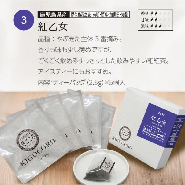 和紅茶ティーバッグギフト  6種入 高宮/レモングラス/紅乙女/濃紅/灯/生姜