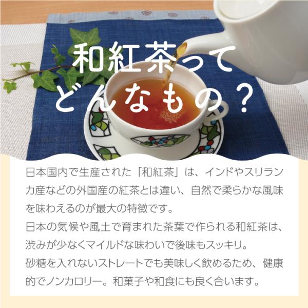 プチギフト 感謝の言葉つき和紅茶ティーバッグ 【お世話になりました】10個入